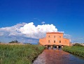 Riserva Naturale della Diaccia Botrona