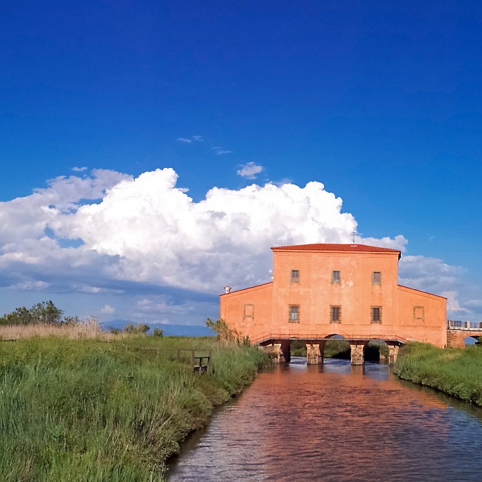 riserva-naturale-della-diaccia-botrona